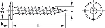 Chipboard screw, Hospa, rear panel screw, flat head, TS, zinc plated